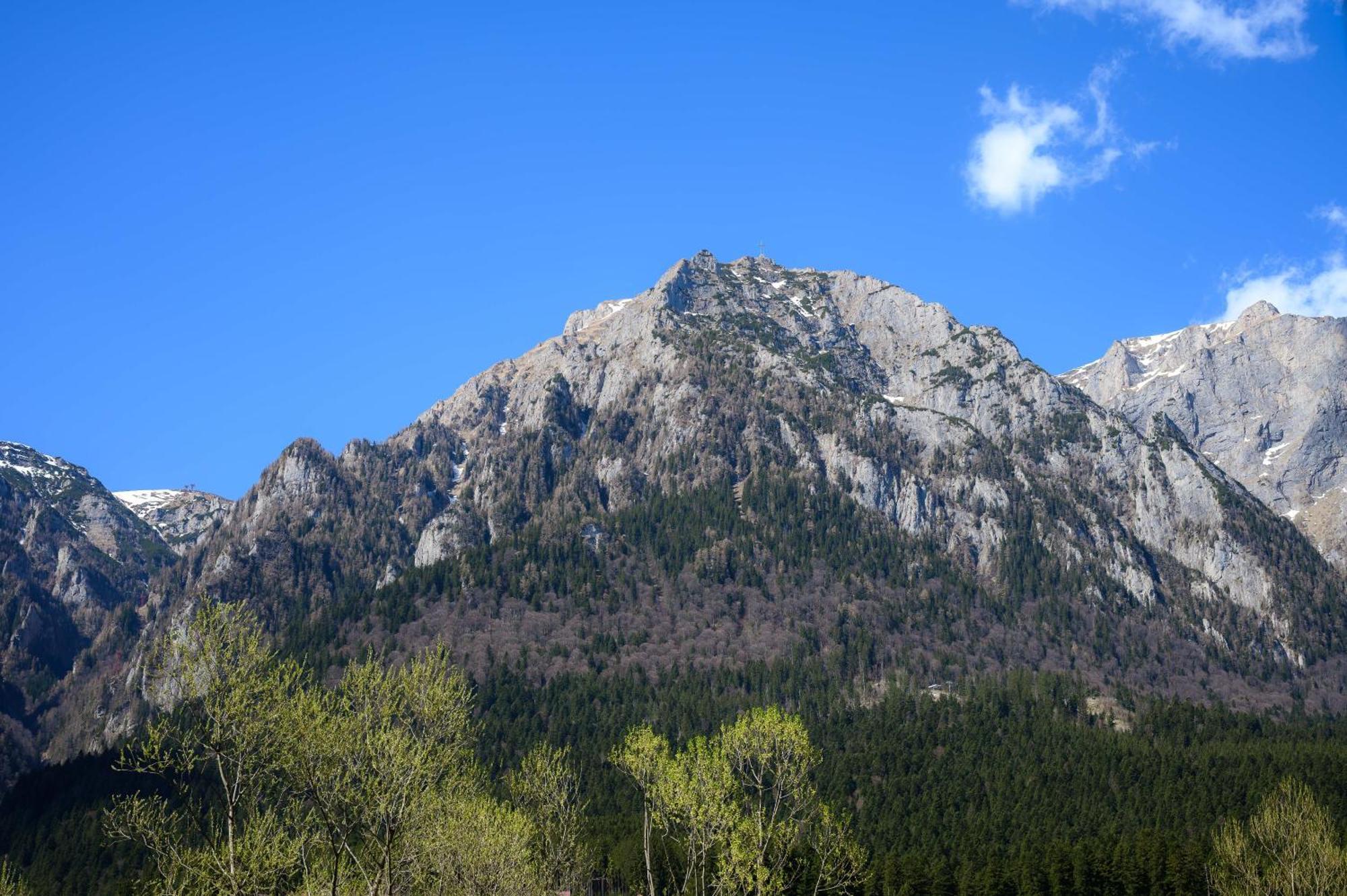 Cross Caraiman View 1 Διαμέρισμα Buşteni Εξωτερικό φωτογραφία